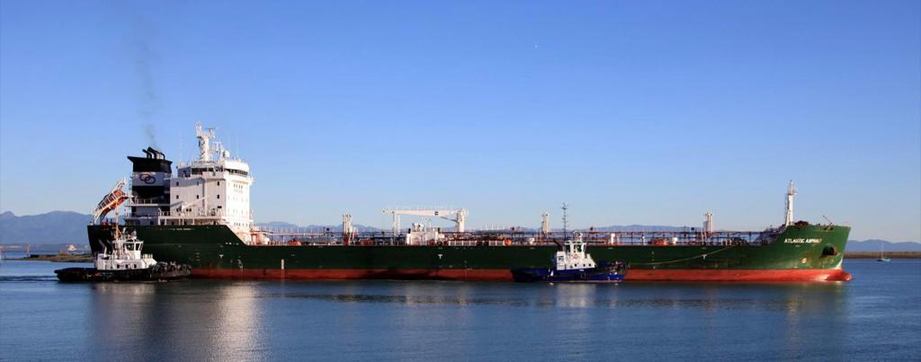 01HVVRAGVJ8RK86KB2EBDBQP8D